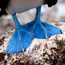 another--page avatar