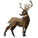 another-animist avatar