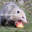 anotherblog02 avatar