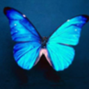 ansil avatar