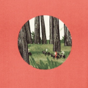 antarcticpostalservice avatar