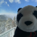 antillesthemilfhunter avatar