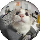 antithesis-to-all-things-holy avatar