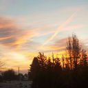 anxietycalminggifs avatar