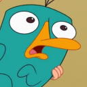 anxious-ace-05 avatar