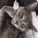 anxiouslydumb avatar