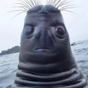 anyways-its-erin avatar