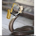 anywhere-but-here-plz avatar