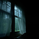 ao3snumberonefan avatar