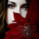 apartmentdiet avatar