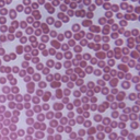 apeacefulslaughter-blog avatar