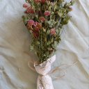 aphroditeslonging avatar