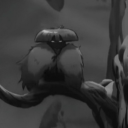 apollothesunrat avatar