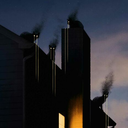 apologiadeamor avatar