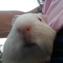 apoundofbliss avatar