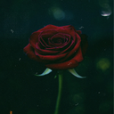 appetite-for-destruction-axl avatar