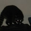 appreciativelatte avatar