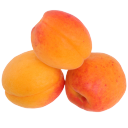 apricotes avatar