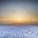 aprilisdisastrous avatar