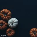 apurplegalaxy avatar