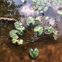 apurposeforeverything avatar