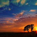 aquaticmist-blog-blog avatar