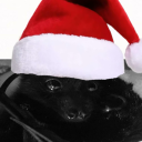 aquaticnightcrawler avatar