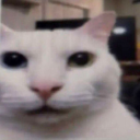 aquiestoychaval avatar