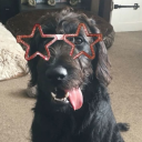 arabellalmao8 avatar