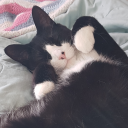 arai-kuusooka avatar