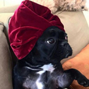 arborstreetthuggin avatar