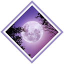 archived-0001 avatar