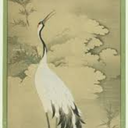 arcticapple99 avatar