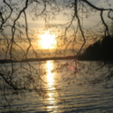 arcticmuppet-blog avatar