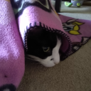 ardentdelirium avatar