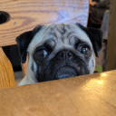 are-you-sick-like-me avatar