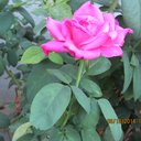 areafiftyjuan avatar