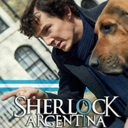 argentinabelievesinsherlock avatar