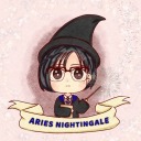 ariesnightingale avatar