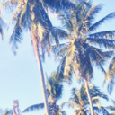 arisblueskies avatar