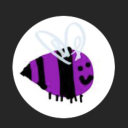 armadillo-arts avatar