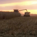 armoredfarmer avatar