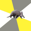 aromanticaardvark avatar