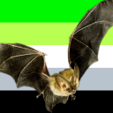 aromanticbastards avatar