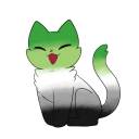 aromanticcat avatar