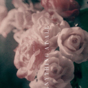 aronaele-anemri avatar