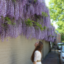 aroofwithaview-blog avatar