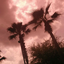 arosieartist-blog avatar