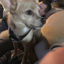 arrivecherchem avatar