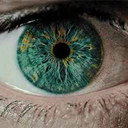 arroganttree avatar